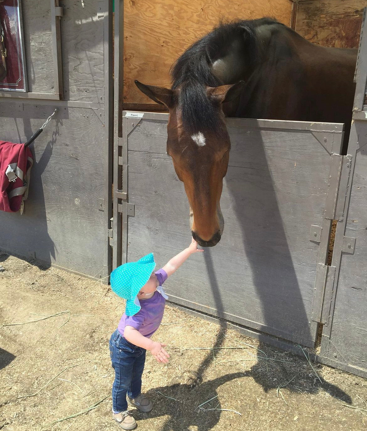 Mamby Unicorn - (pack of 3)